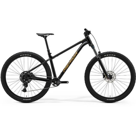 Merida Big.Trail 300 čierny hnedý